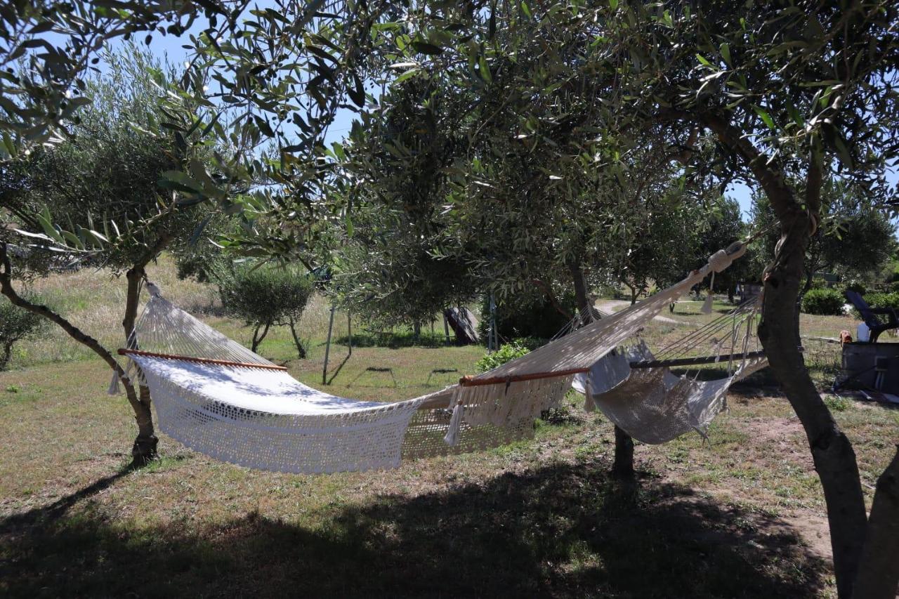 Villa Rosa In Surrau Arzachena Bagian luar foto