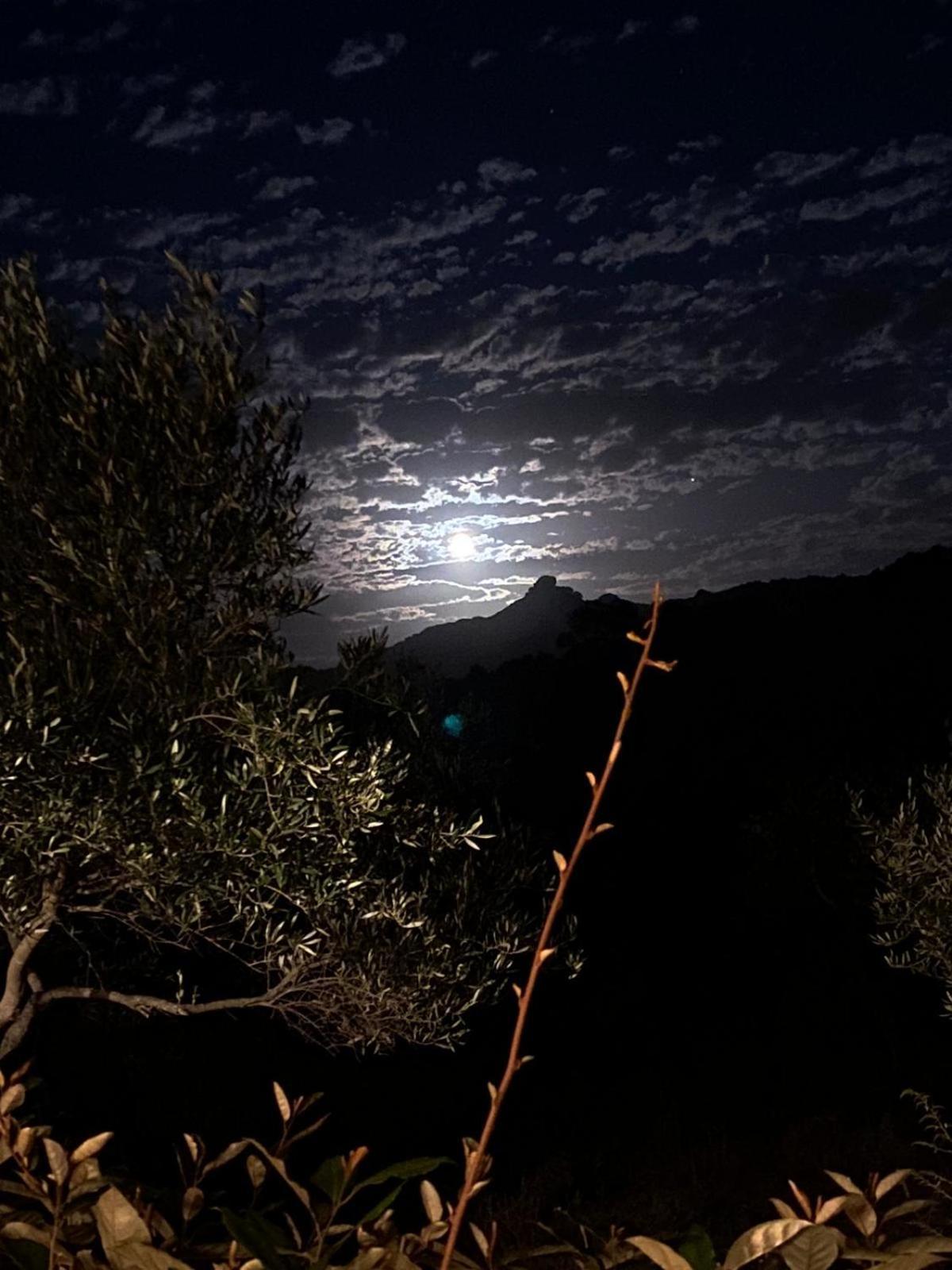 Villa Rosa In Surrau Arzachena Bagian luar foto